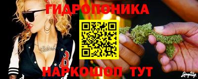 spice Заводоуковск